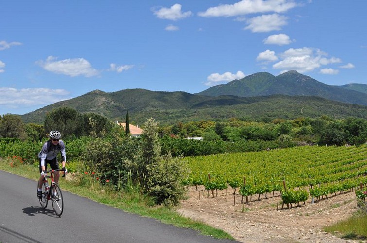 Cyclo boucle du Vallespir