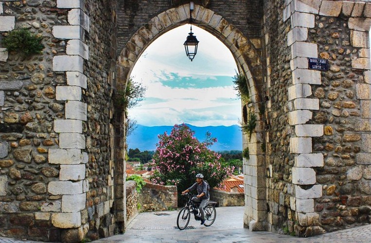 Porte Balaguer à Elne