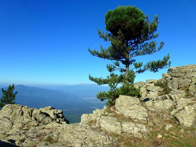 Vue depuis le Pic Néoulous