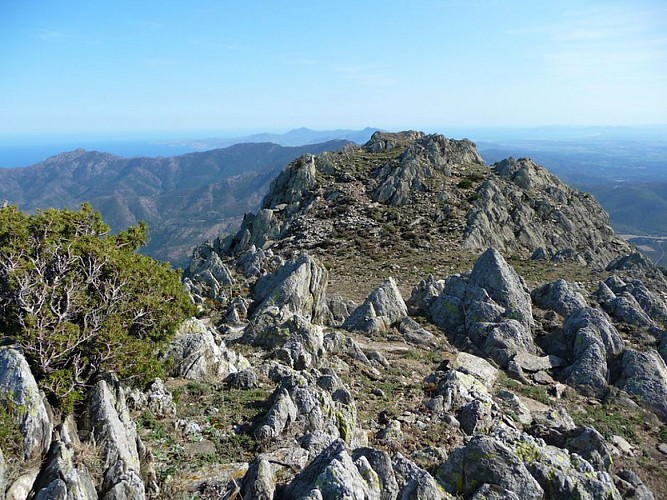 [Enlace] Pico de Neulous- Pico de Sallfort