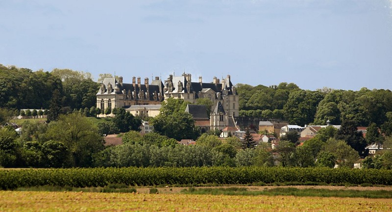 Château d'Écouen