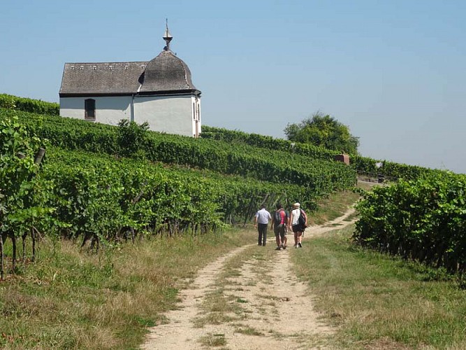 Circuit de Bacchus Le Riewerle