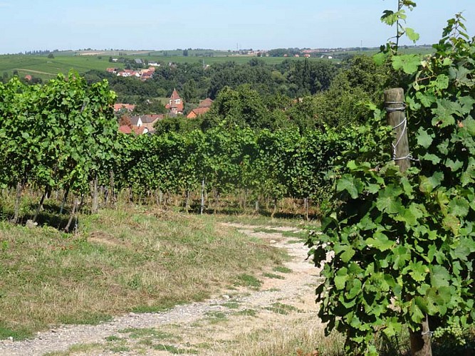 Circuit de Bacchus Le Riewerle