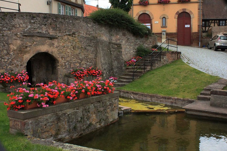 Circuit de Bacchus - Rutscherle