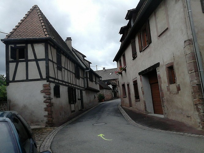 Circuit de Bacchus Le Loejele