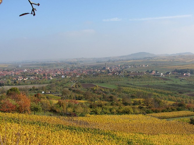 Circuit de Bacchus Le Loejele
