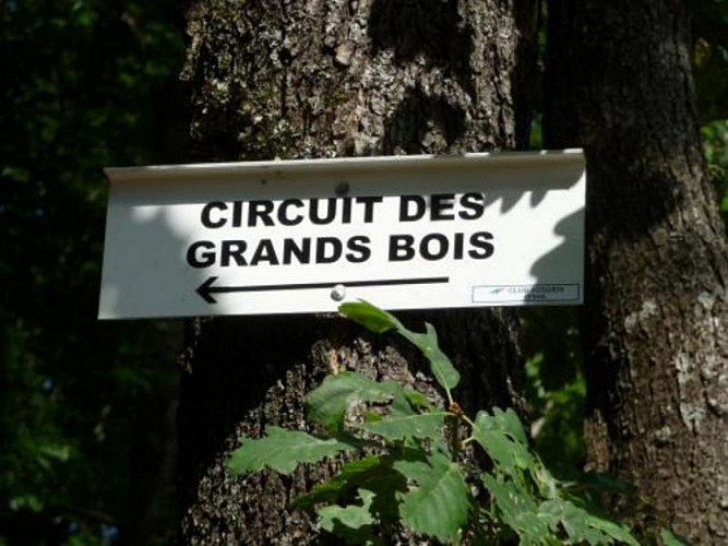 Circuit des Grands Bois