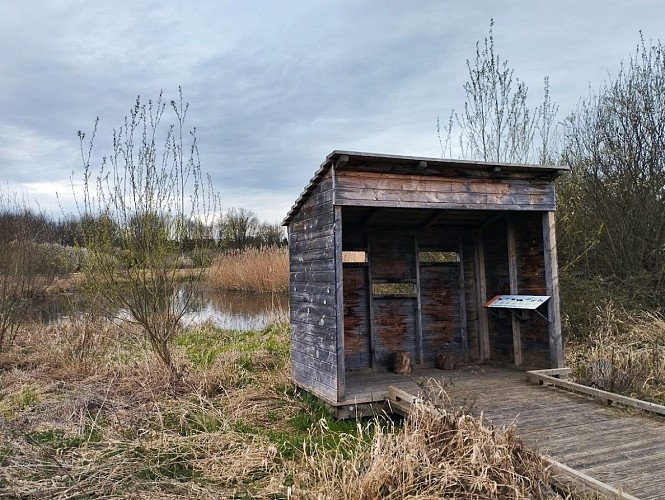 3_B. Observatoire oiseaux
