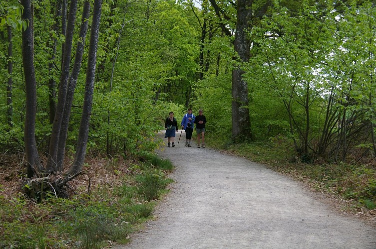 Boucle de Saint-Berthevin