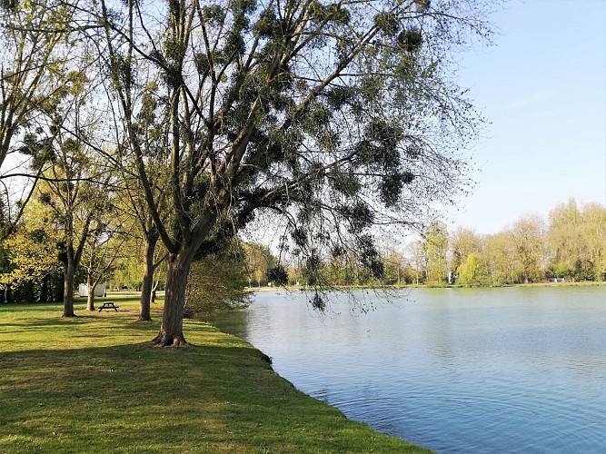 Les Bois de Saint-Claude