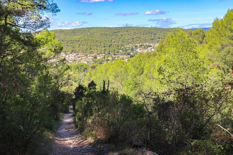 4 / Bize Minervois : La Garena