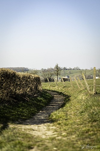 Trail du Pays de Herve - Herve 1