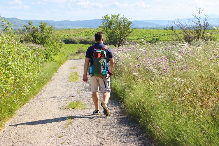 6 / Ginestas : du village au canal