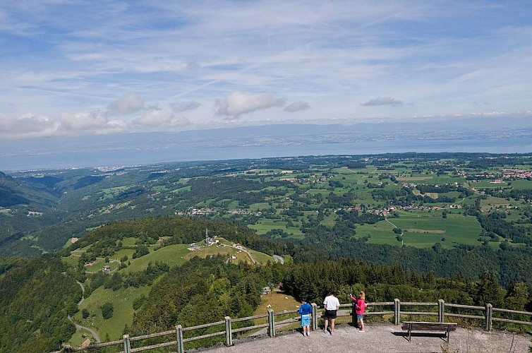 Montée de Tréchauffé