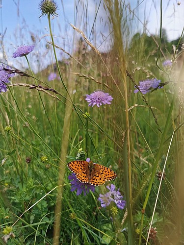 Passeggiata allo Jaillet - Vauvray/Ormaret_Megève