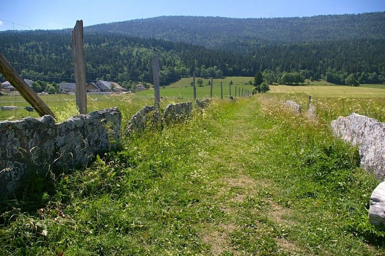 Chemin lauzé autour de Méaudre