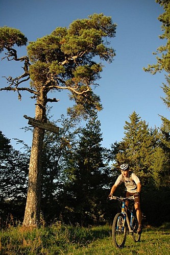 Le Tour des Claveyrons (Base VTT FFCT Royans Vercors - parcours n°10)