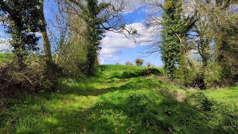 Circuit PR® "Le Sentier buissonnier" | Botsorhel