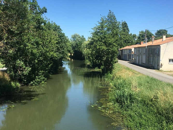 sentier les Rainettes à Damvix