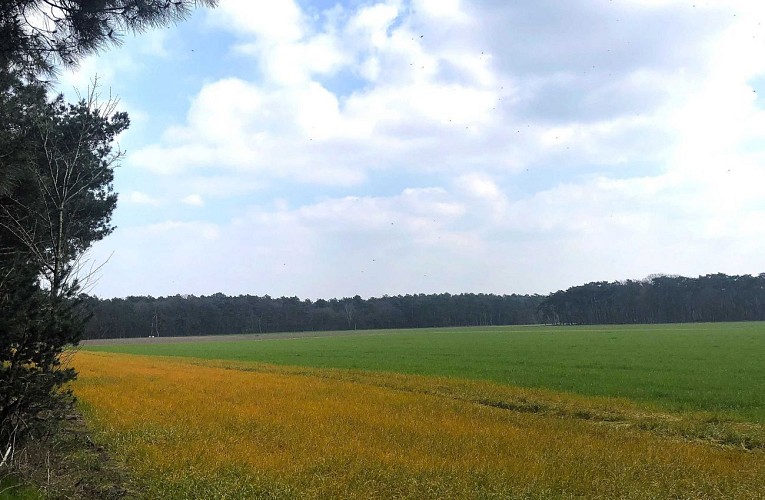 Au Nord du parc de Kalmthout - Val et Oli