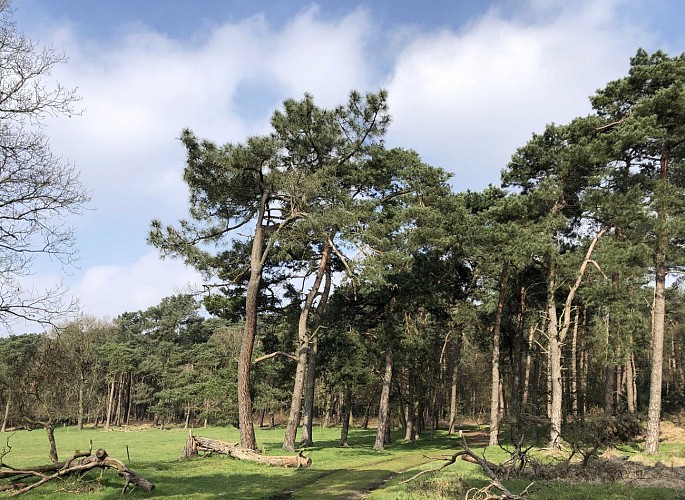Au Nord du parc de Kalmthout - Val et Oli