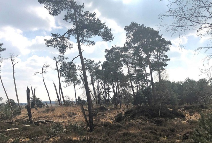 Au Nord du parc de Kalmthout - Val et Oli