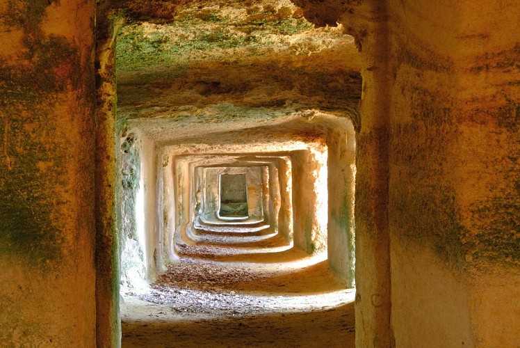 GROTTES DE FERRAND ST HIPPOLYTE_ALANTA_HD (2)