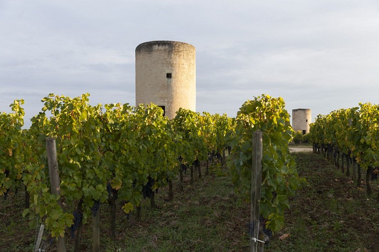 Moulins de Calon BD © Guillaume Le Baube