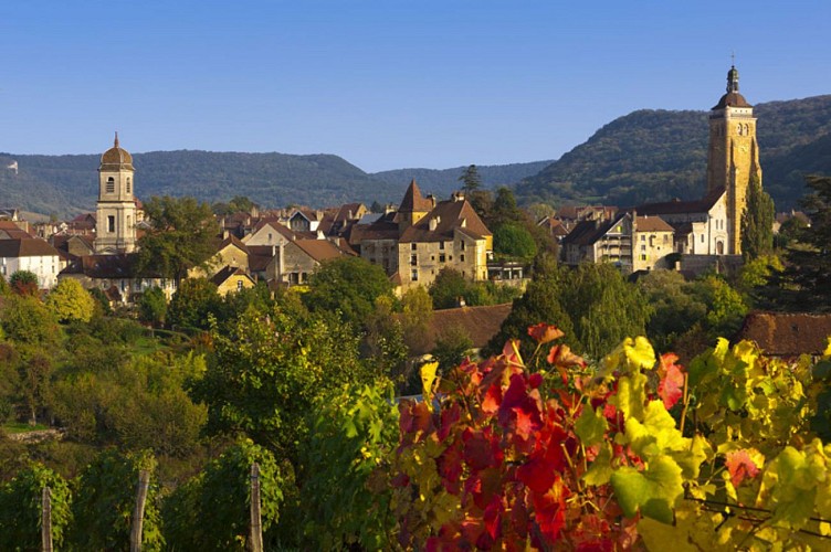 Arbois, capitale des Vins du Jura