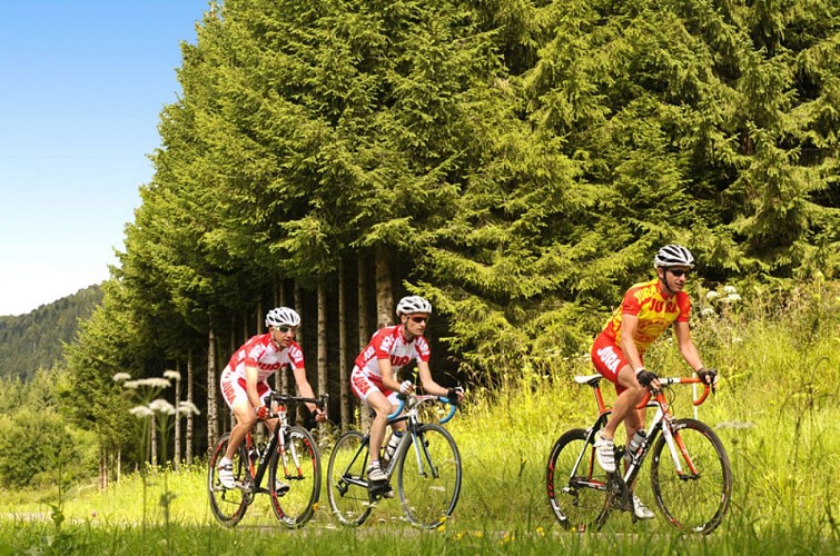 Cyclistes dans le Haut-Jura