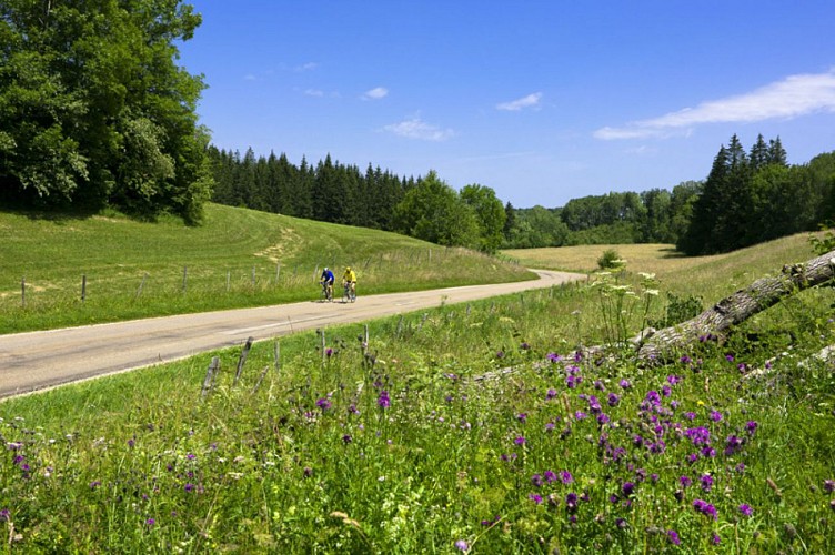 Paysages du Haut-Jura