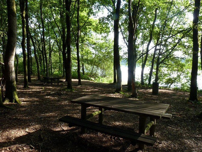 Lac de l'Ayguelongue