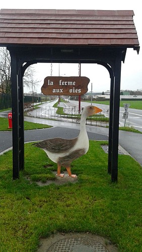 Auf dem Weg zu den Gänsen und Fröschen