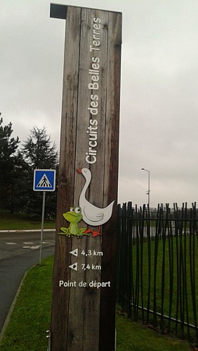 前往鹅和青蛙的路线