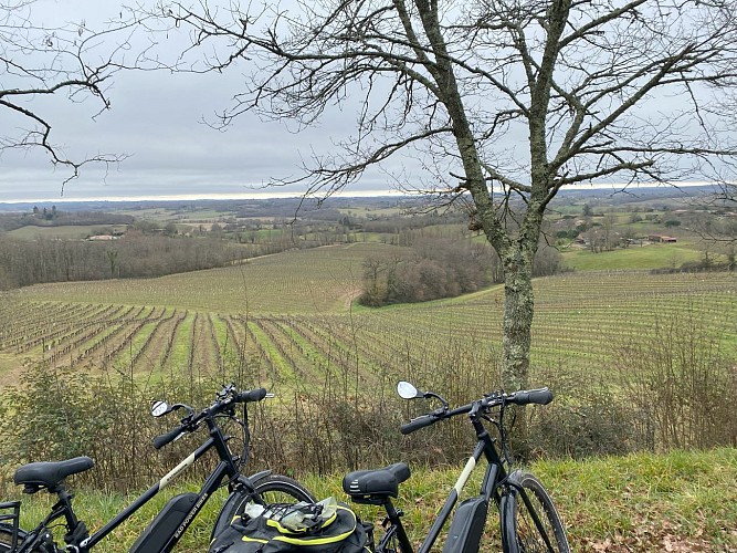 Vignobles et chais de Saint-Mont