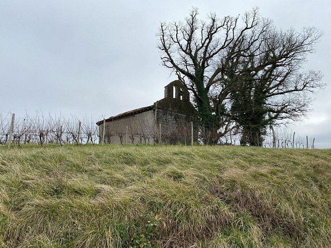 Vignobles et chais de Saint-Mont