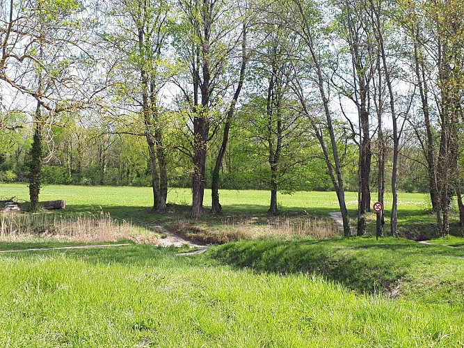 De Meyzieu à Miribel par le GR® 169 sur l'ile de Miribel (Accès par Tram T3 et retour par TER ou bus)