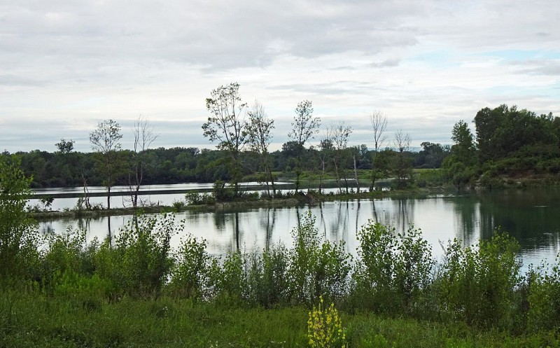 De Meyzieu à Miribel par le GR® 169 sur l'ile de Miribel (Accès par Tram T3 et retour par TER ou bus)