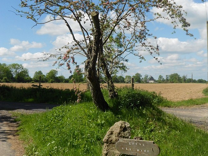 L'épine à la Dame Preaux Saint Sébastien