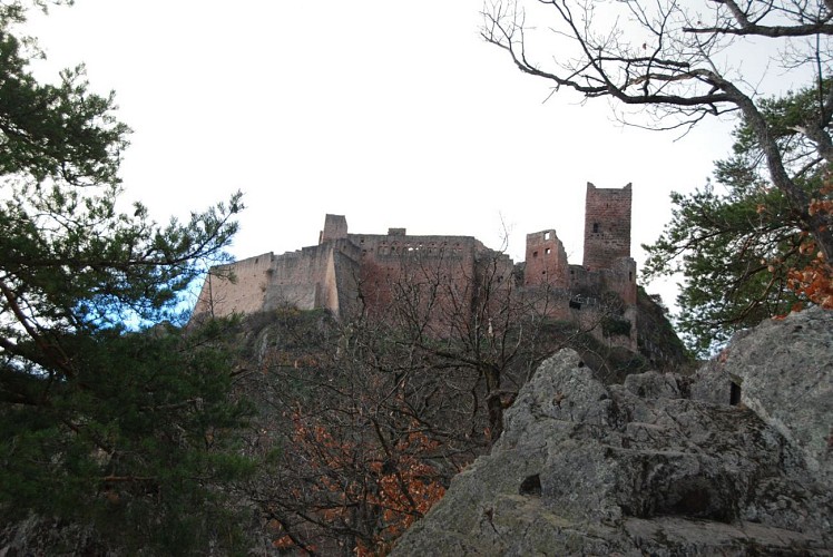 Château de Saint-Ulrich