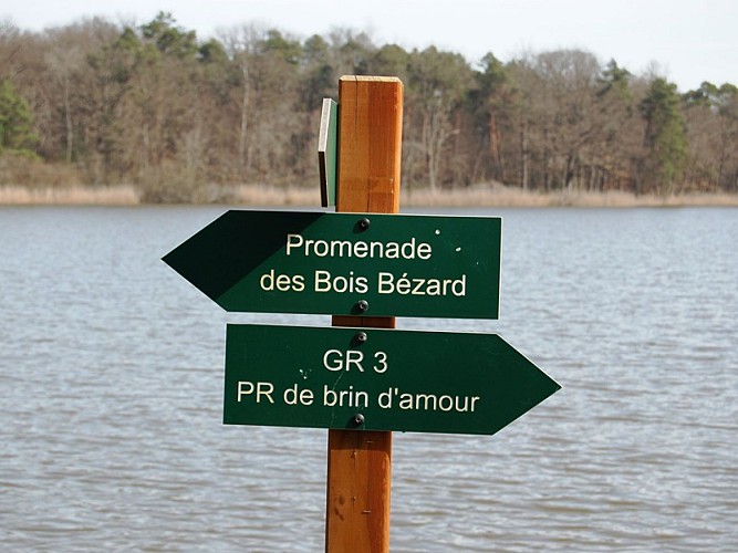 Sentier des Bois Bézard