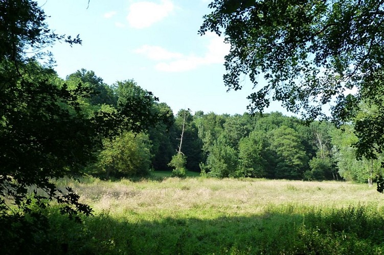 Les moulins de la Cléry