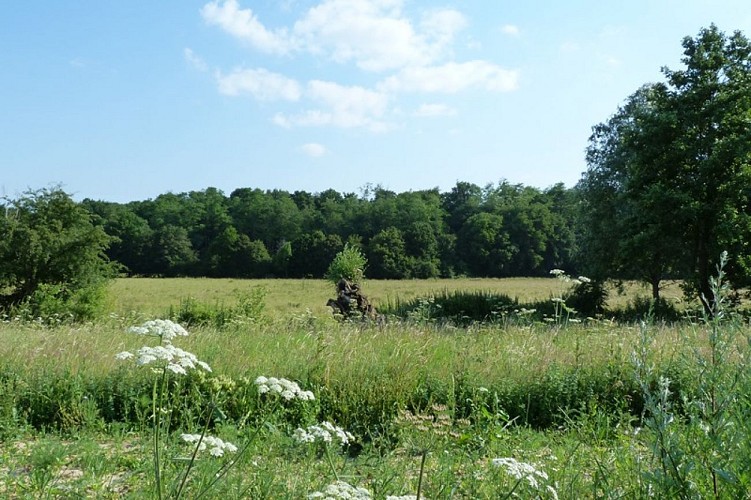 Les moulins de la Cléry