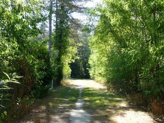 Circuit de Morchêne