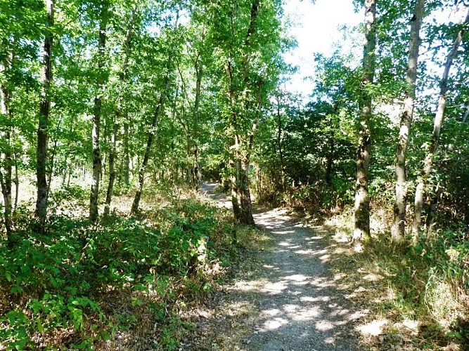 Circuit de Morchêne