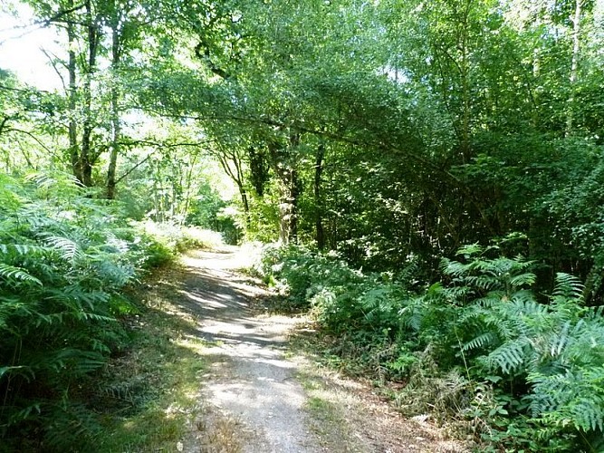 Circuit de Morchêne