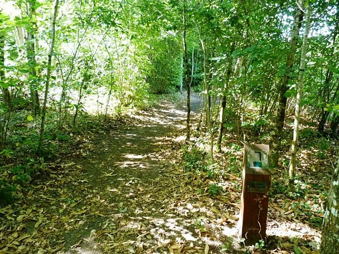 Circuit de Morchêne