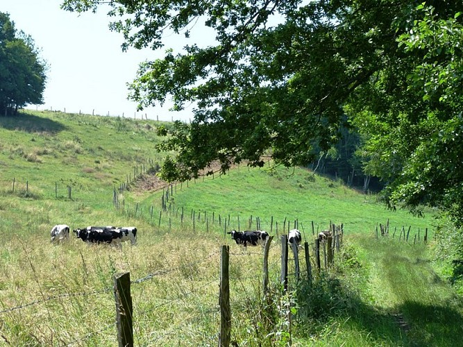 Sentier des Moulins de la Cléry