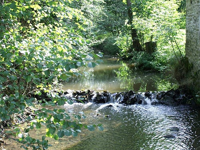 Ruisseau dans la campagne dans le Calvados