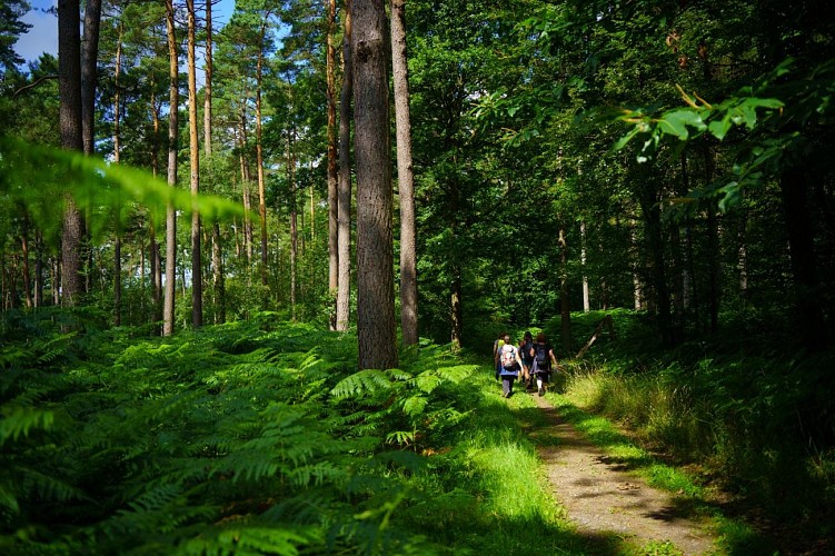 Houyet promeneurs générique br